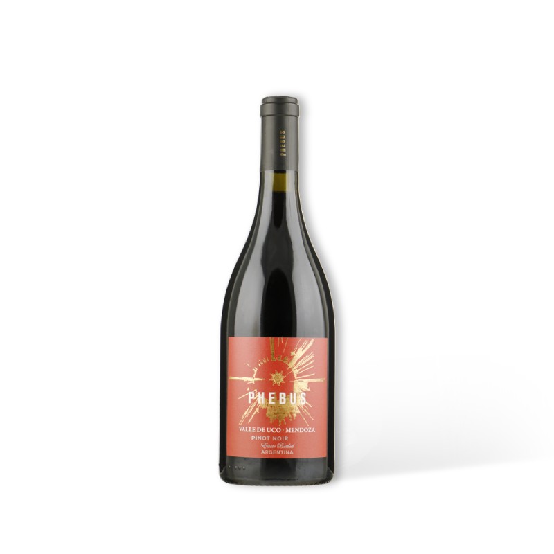 [7798000213751] PHEBUS Pinot Noir - Valle de Uco