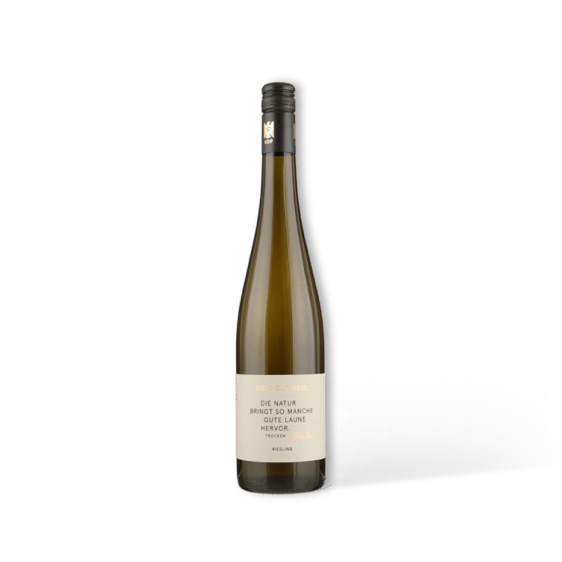 [612524228138] WEINGUT HEID Riesling Trocken Gutswein BIO